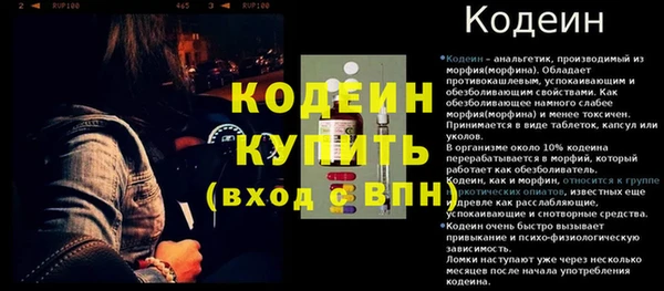 apvp Кодинск