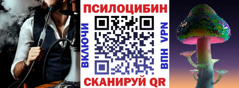 Псилоцибиновые грибы Cubensis  Мосальск 